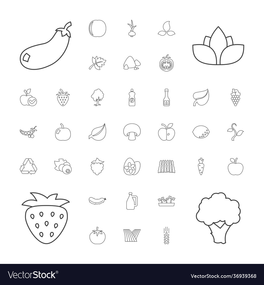 Organic Icons Royalty Free Vector Image - Vectorstock