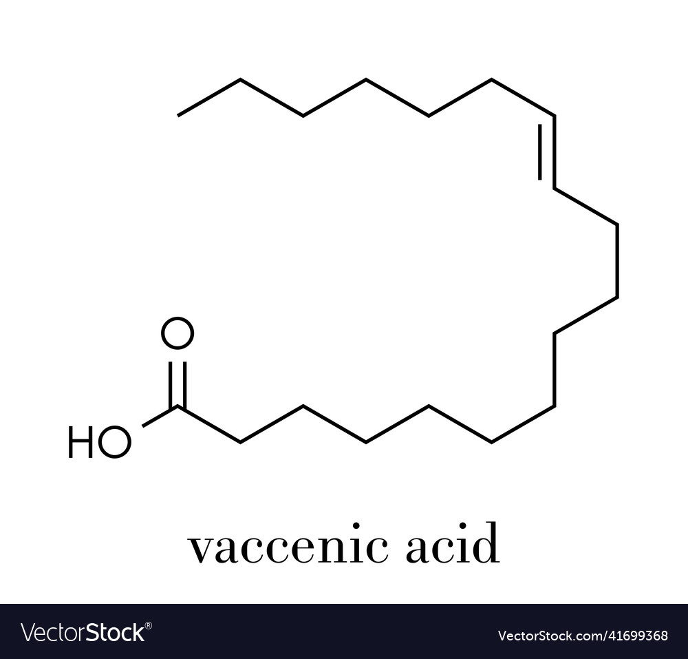 Vaccenic acid molecule trans fatty acid present Vector Image