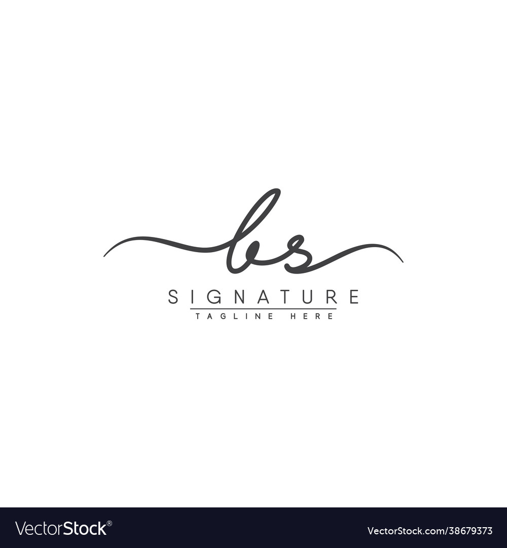 Elegant Initial B & S Logo - Signature Style
