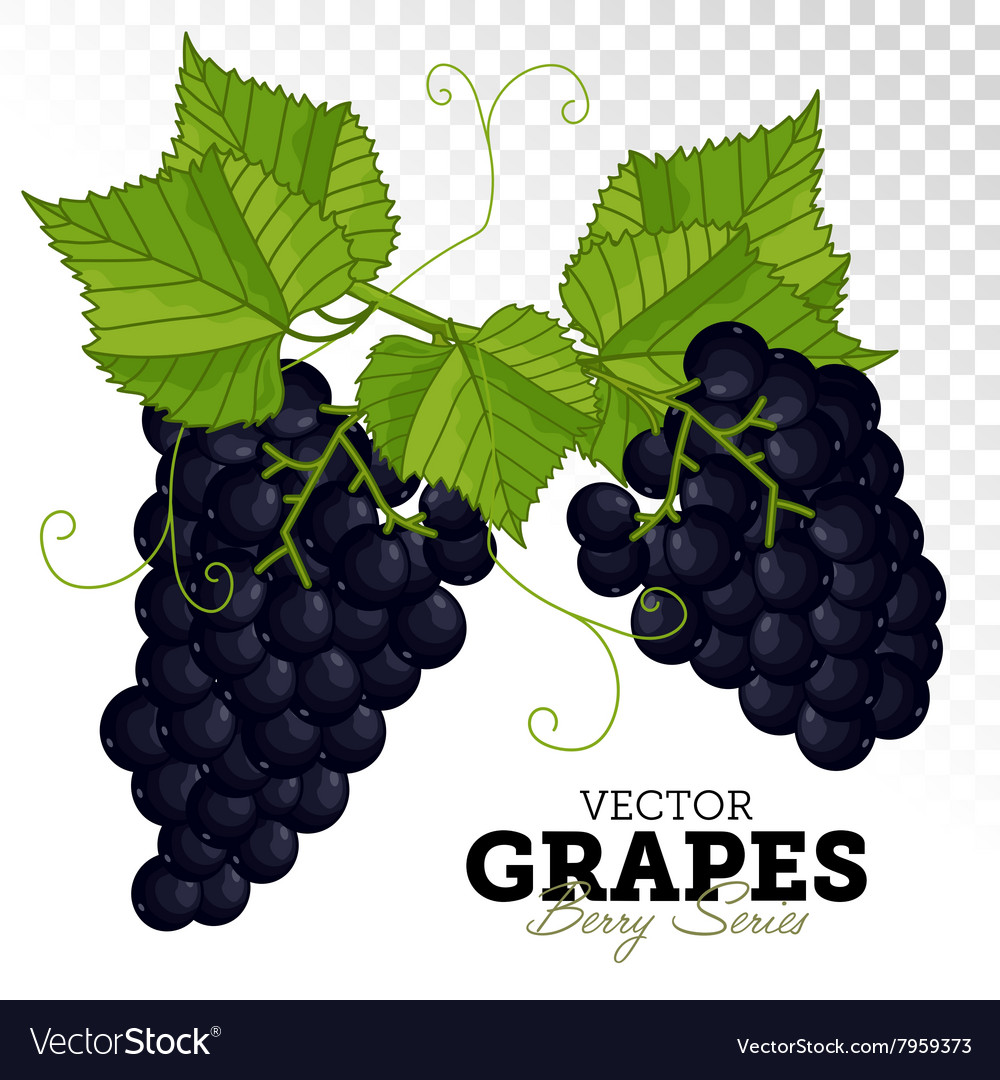 Grape set