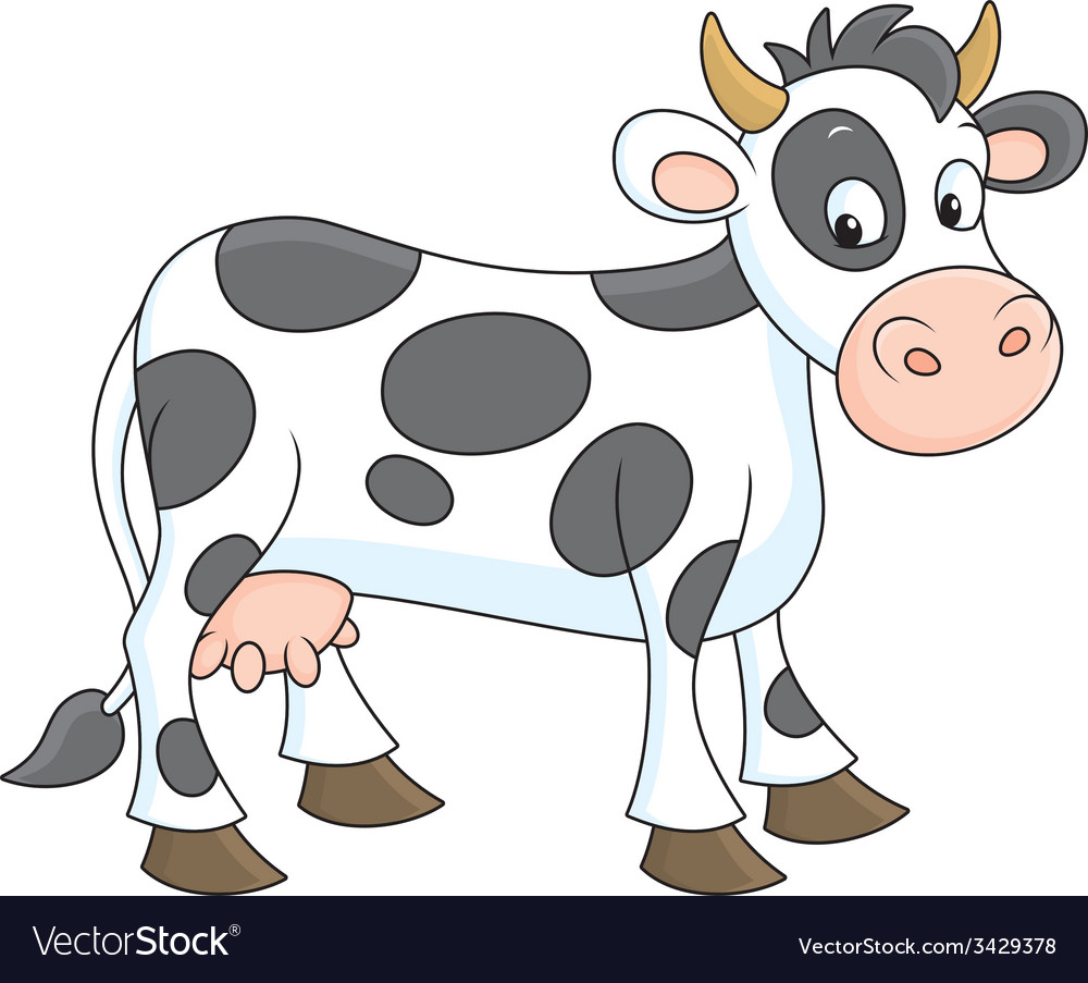 Cow Royalty Free Vector Image - VectorStock