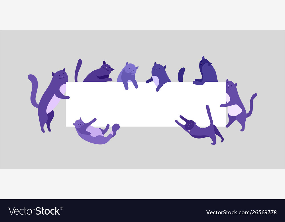 Cute cats holding blank banner