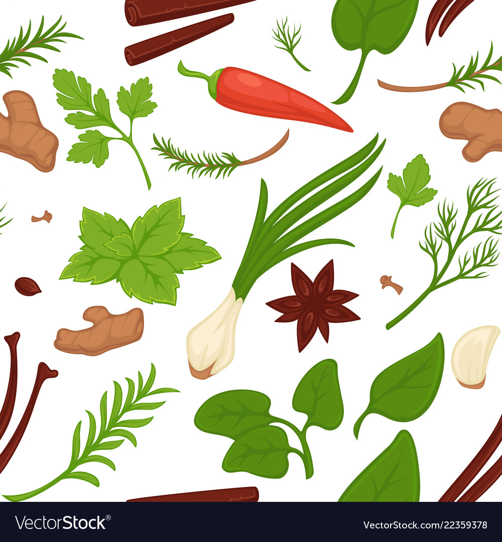 Dill and parsley greenery and herbs seamless Vector Image
