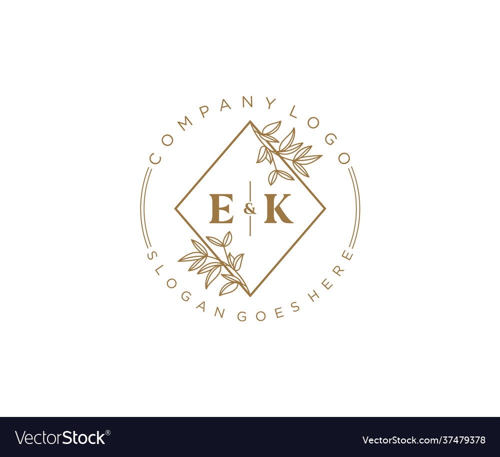 Initial ek letters beautiful floral feminine Vector Image