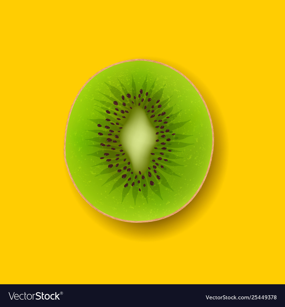 Kiwi fruits isolated vector image Kiwi fruits isolated