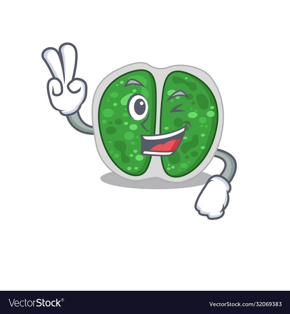 Happy chroococcales bacteria cartoon design Vector Image Happy chroococcales bacteria cartoon design Vector Image