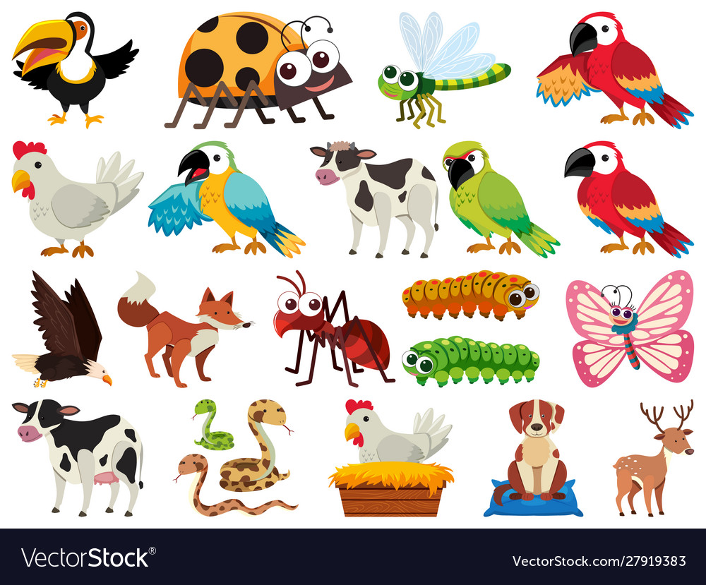 Set isolated objects theme animals