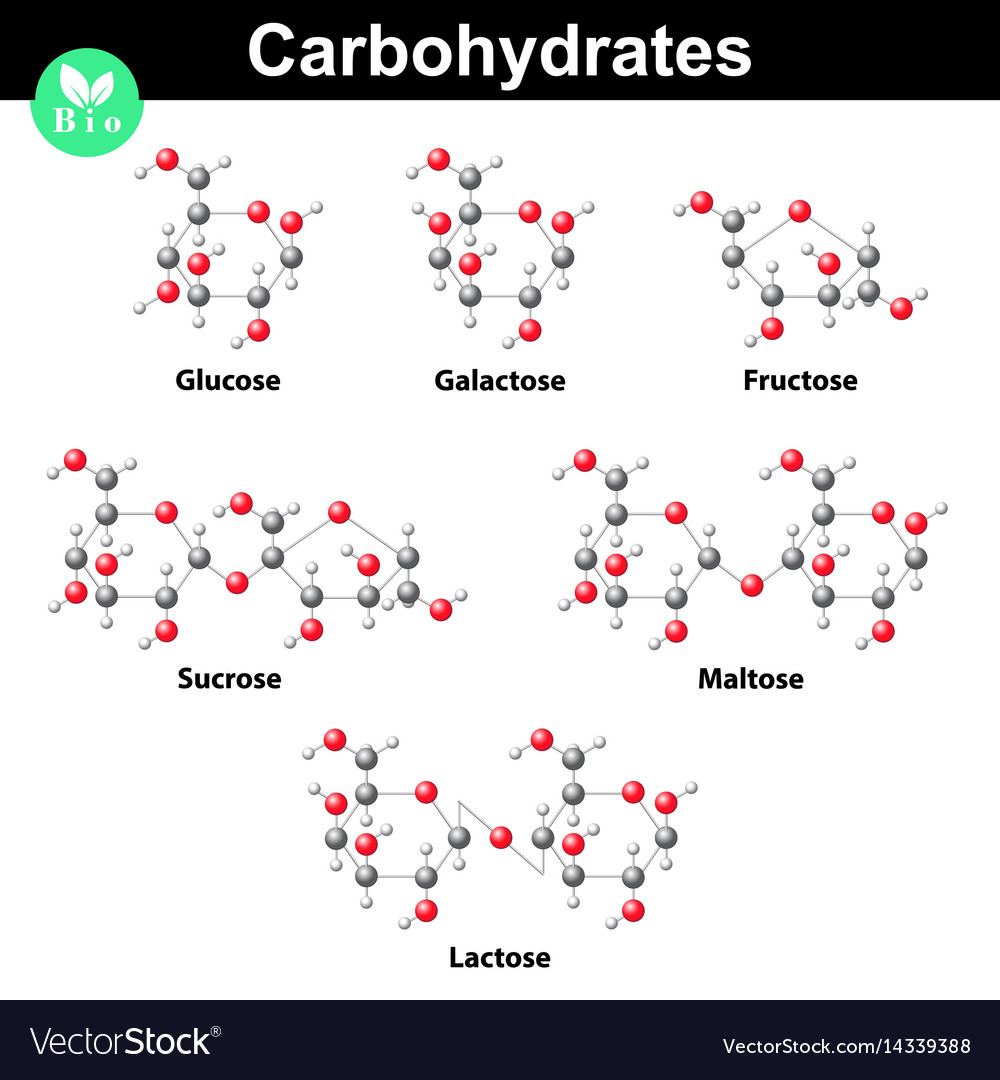 Carbohydrates Structure