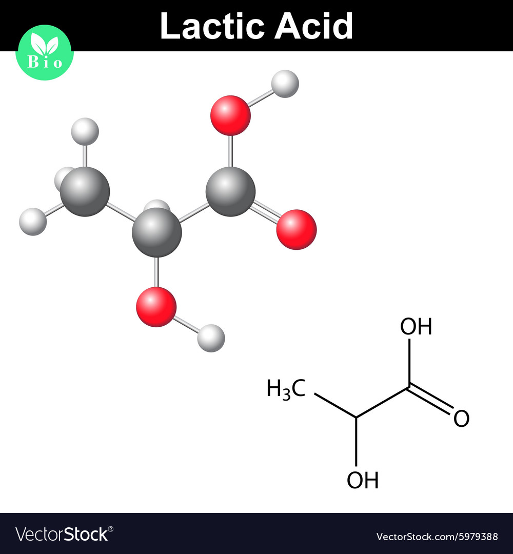 Lactic acid molecule Royalty Free Vector Image