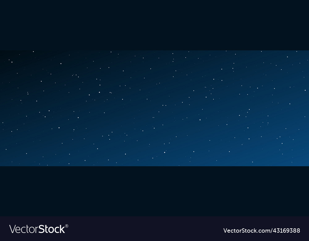 Starlit Night Sky
