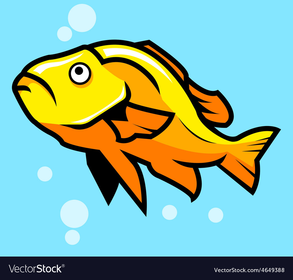 Yellow fish