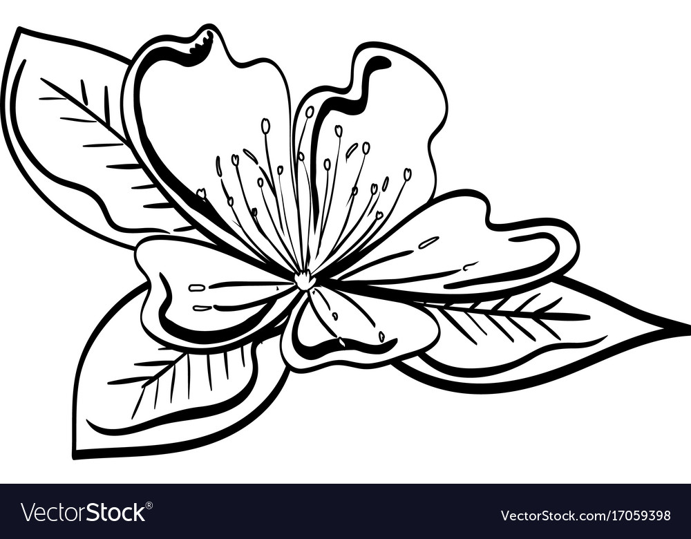 Cute Flower Decorative Icon Royalty Free Vector Image