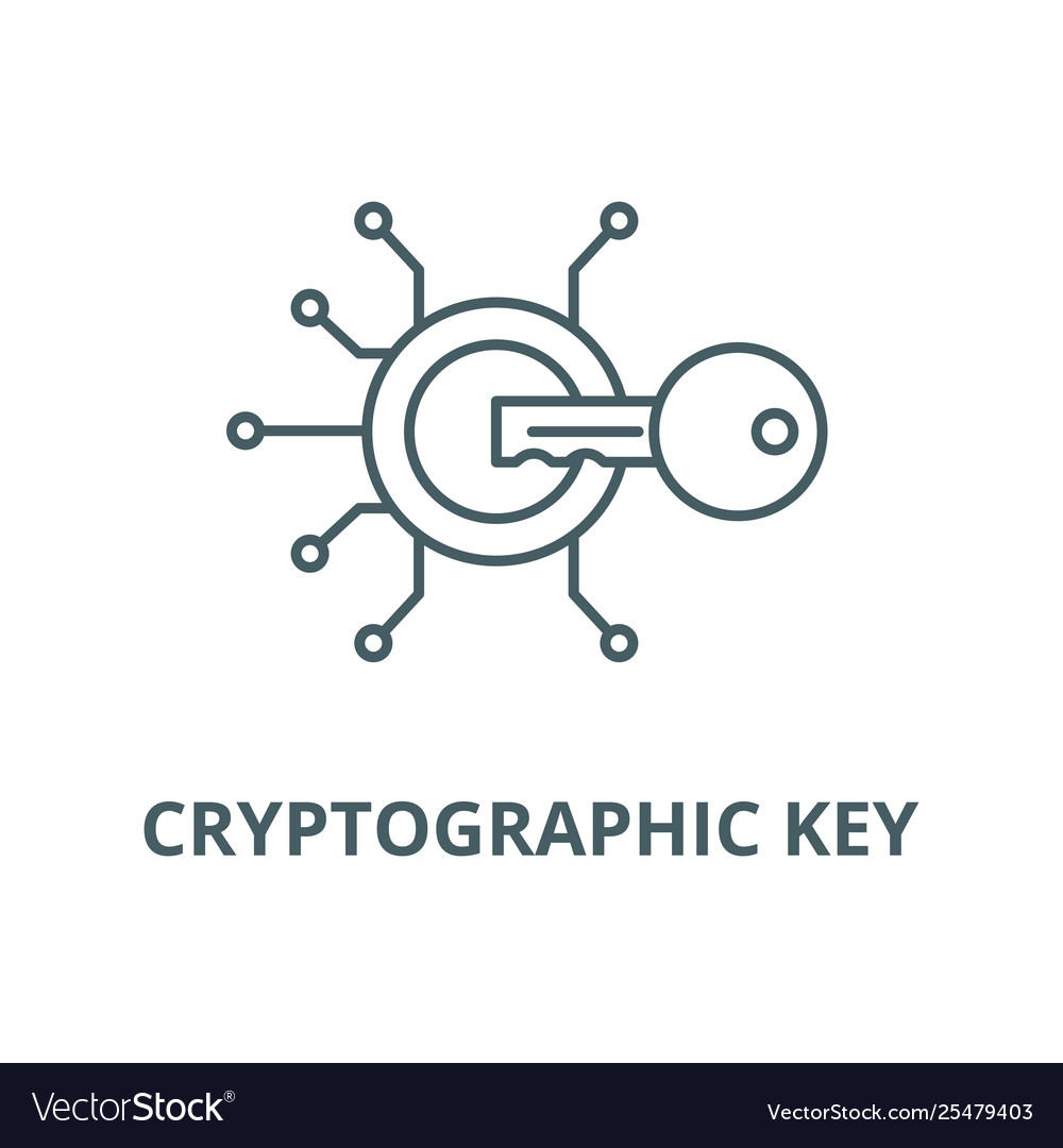 Cryptographic key line icon linear concept Vector Image Cryptographic key line icon linear concept