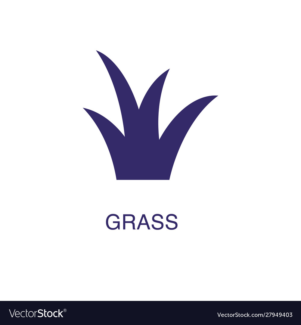 Grass element in flat simple style on white
