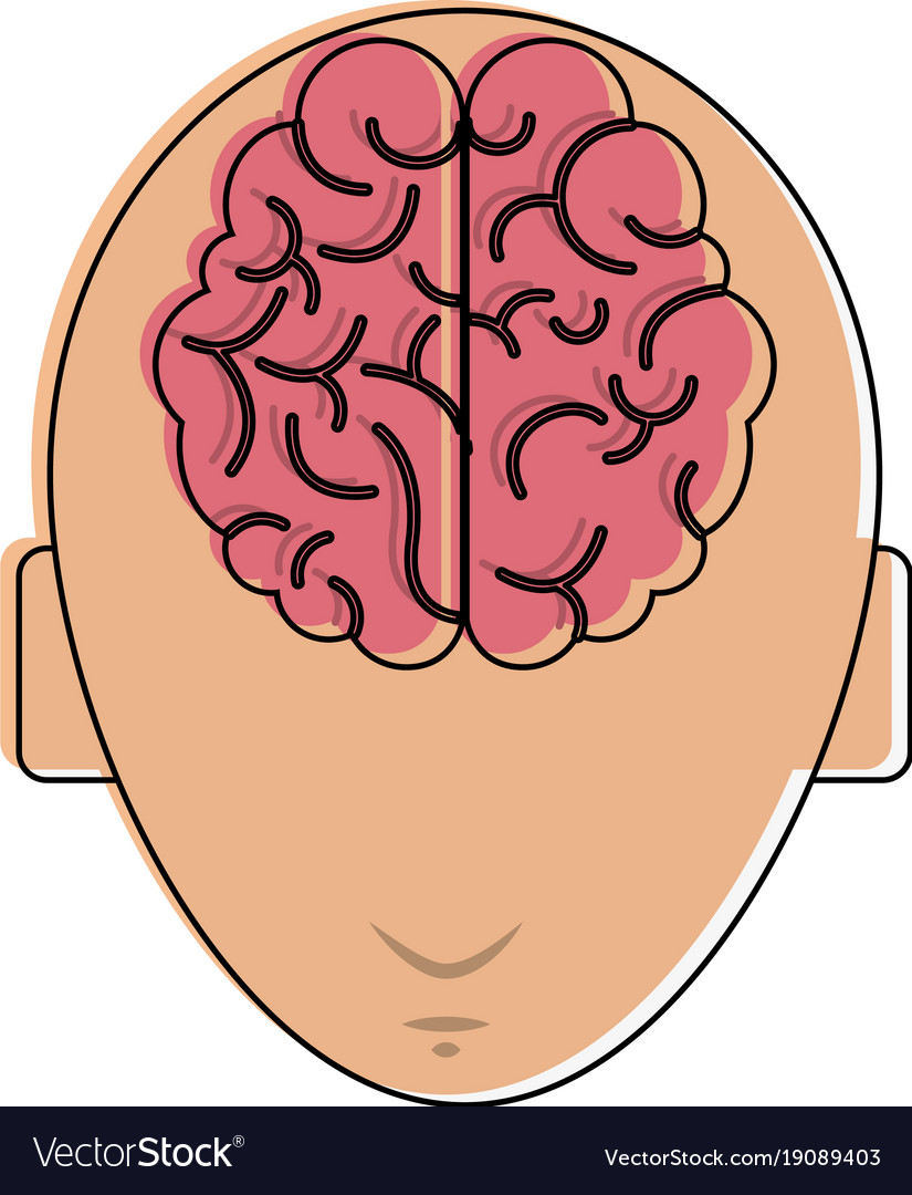 Head with brain Royalty Free Vector Image - VectorStock