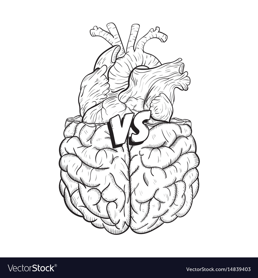 Heart vs brain concept of mind against love fight Vector Image