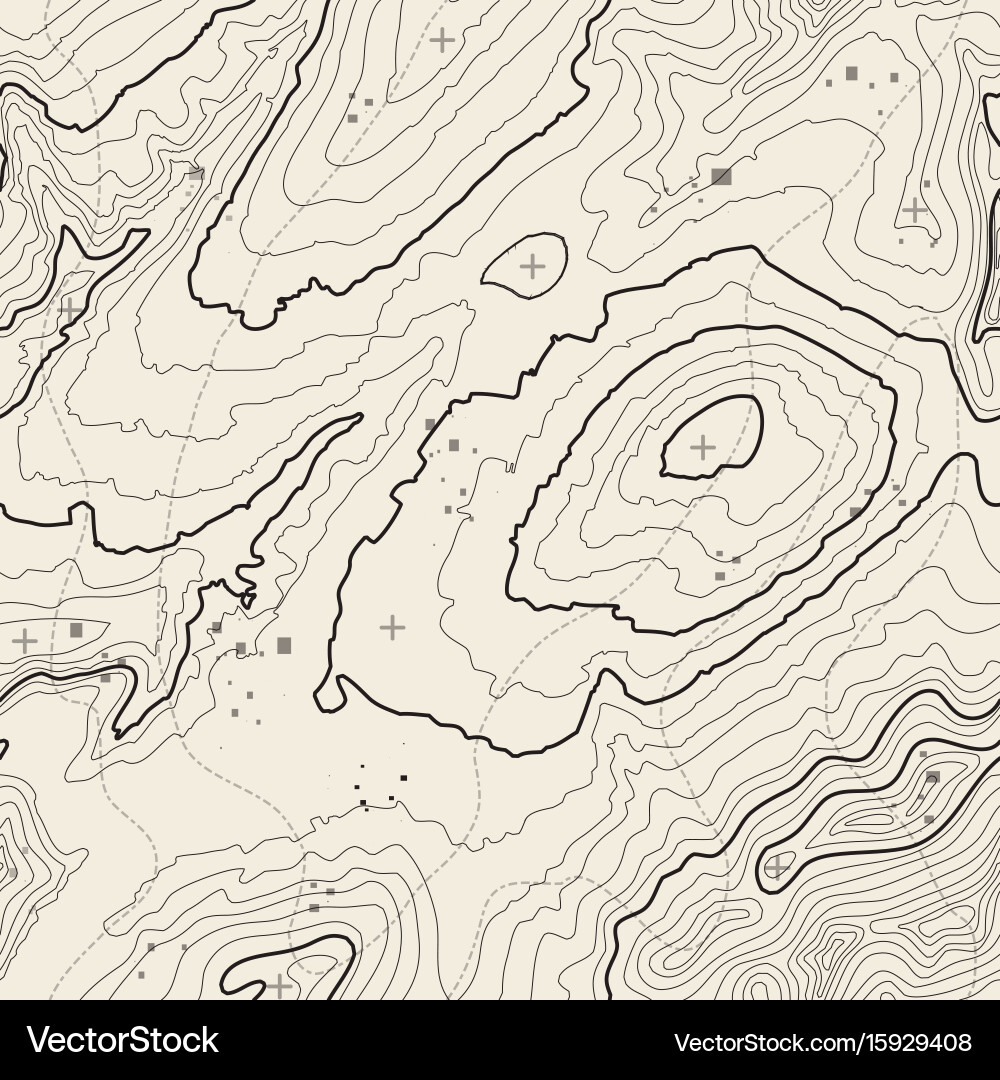 Seamless pattern topographic map background Vector Image