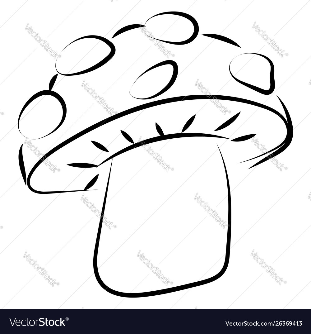 Mushroom drawing on white background