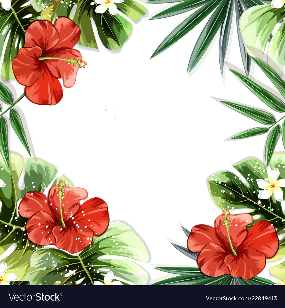 Tropical plants flowers seamless pattern Vector Image