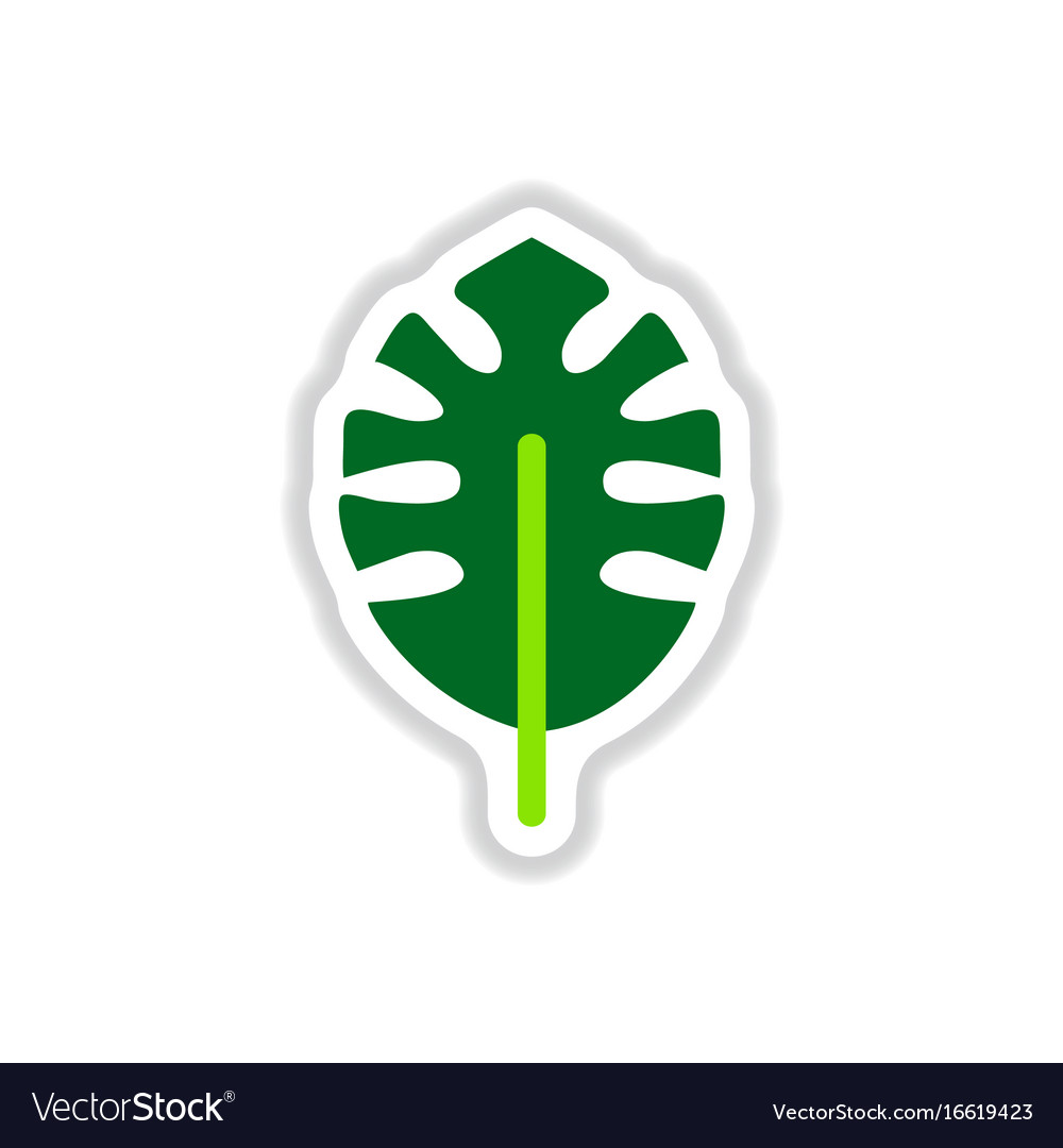 Label with leaf shadow icon design collection