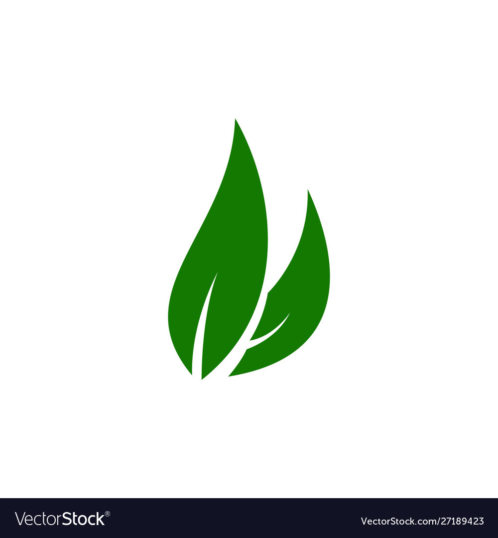 Leaf icons design leaves green concept isolated Vector Image