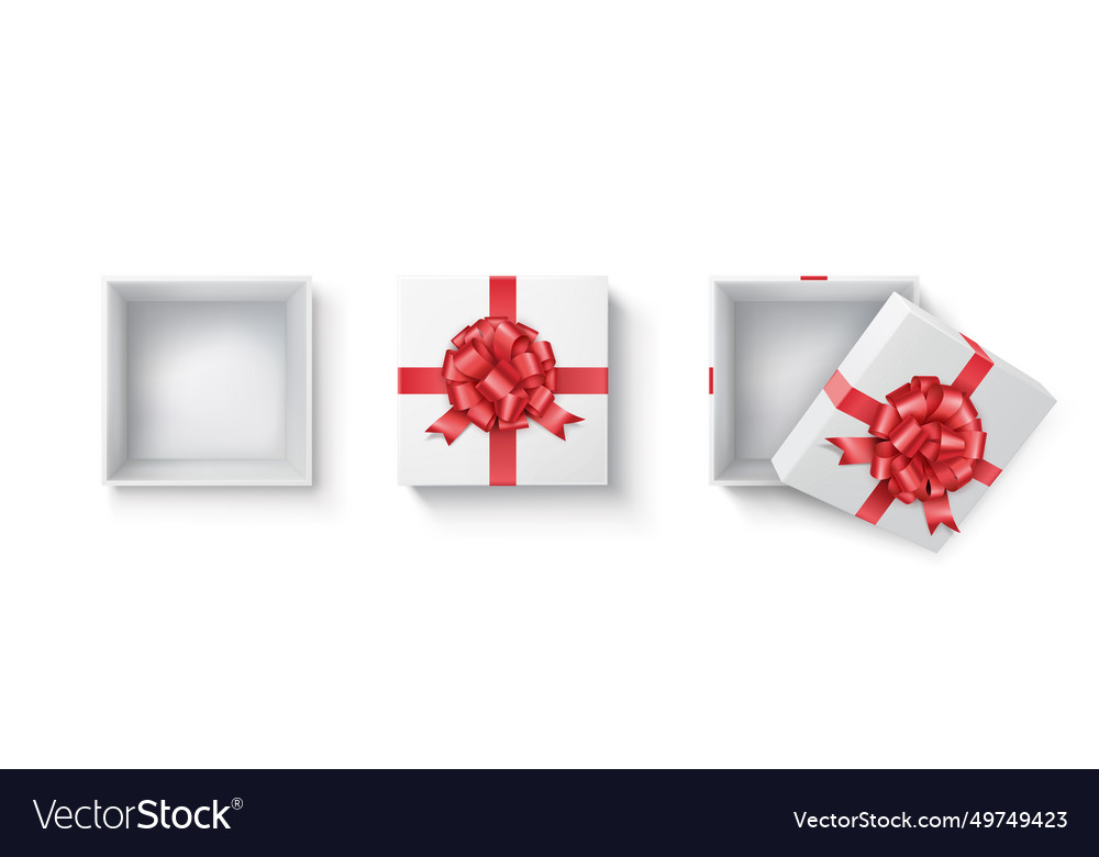 Present box with puff bow variations set vector image Present box with puff bow variations set