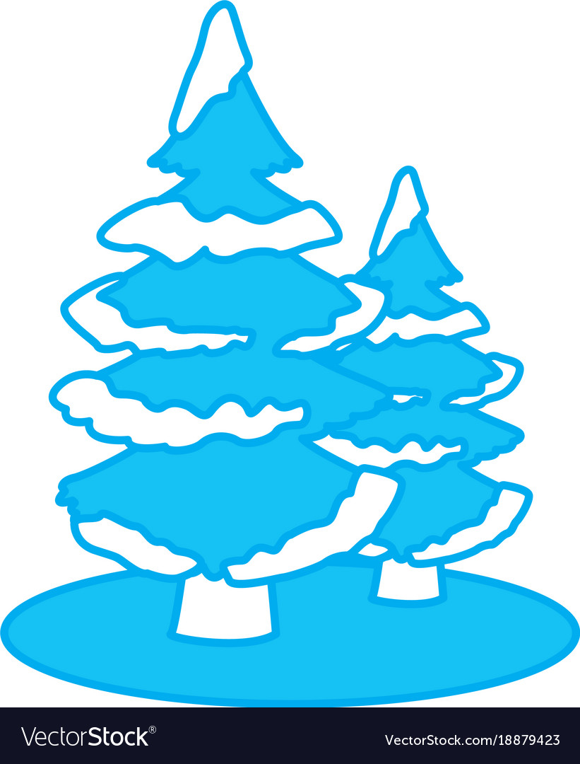 Trees pines with snow