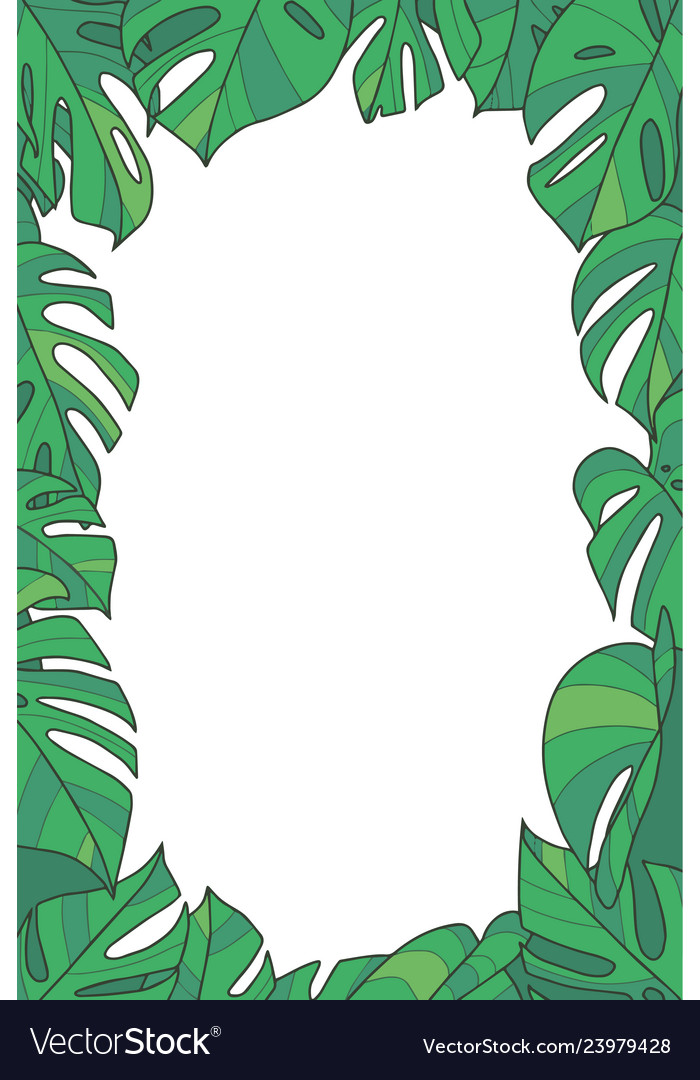 Monstera Border Png