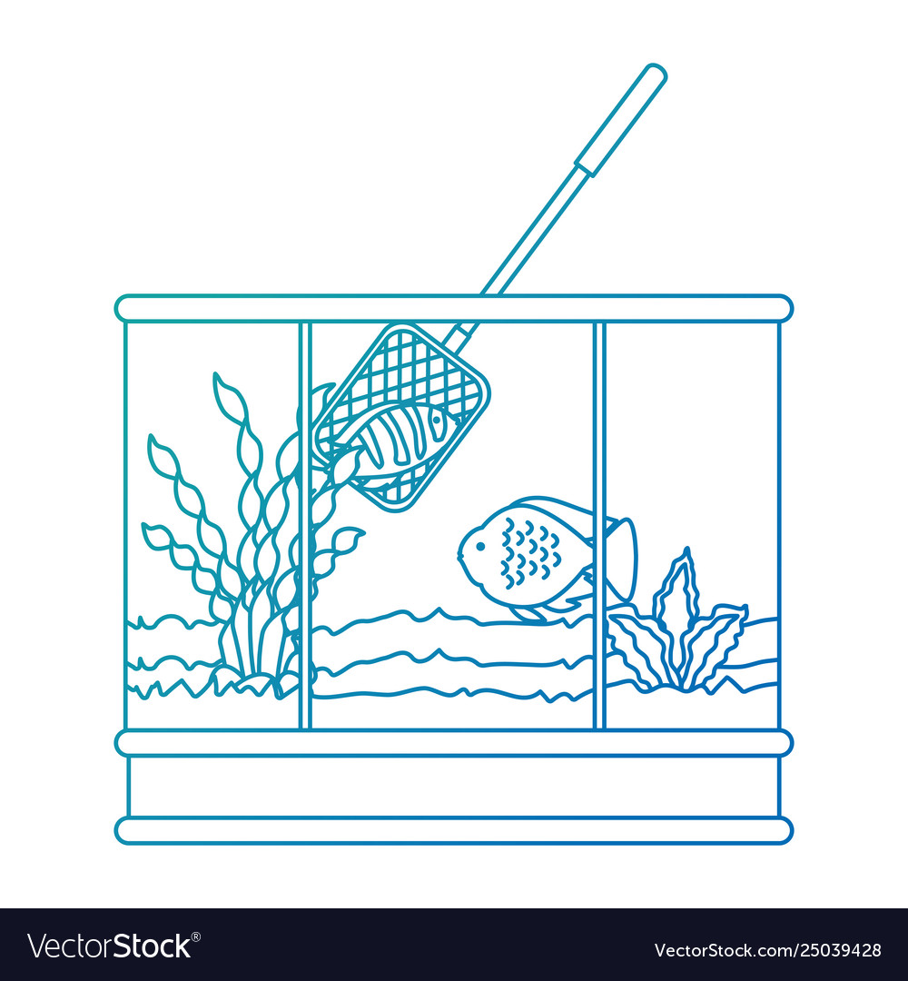 Square aquarium with colors fish and fishing net