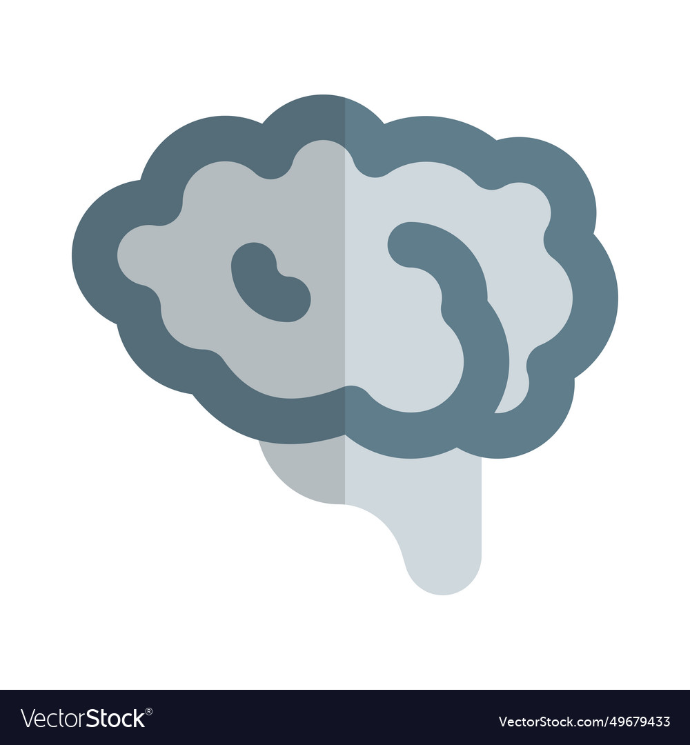 Brain one of the largest and most complex organs