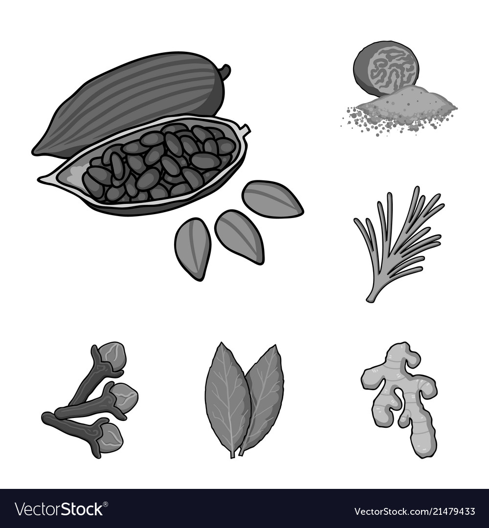 Herb and spices monochrome icons in set collection