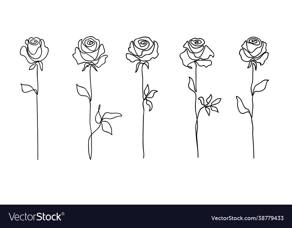 Rose flower set continuous drawing line art Vector Image