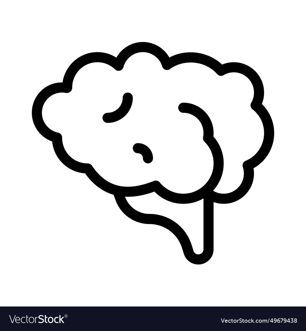 Brain one of the largest and most complex organs