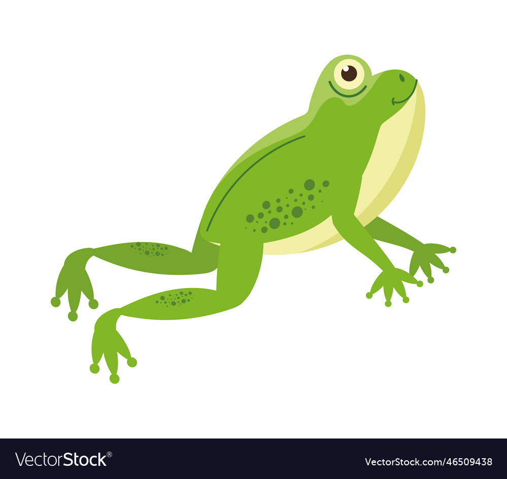 Cute toad mascot Royalty Free Vector Image - VectorStock