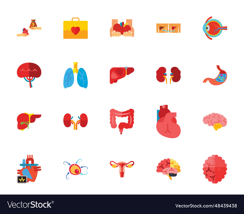 Human organs icon set Royalty Free Vector Image