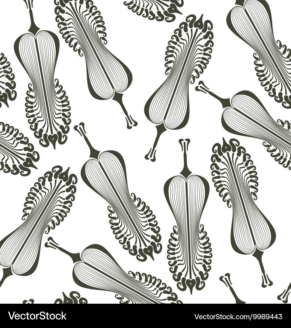 Feathers Royalty Free Vector Image - VectorStock