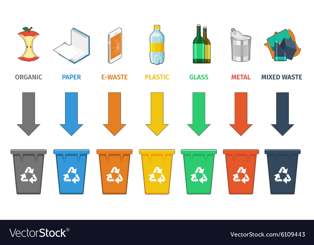 Waste Garbage Bin Separation Types Segregation Stock Vector | My XXX ...