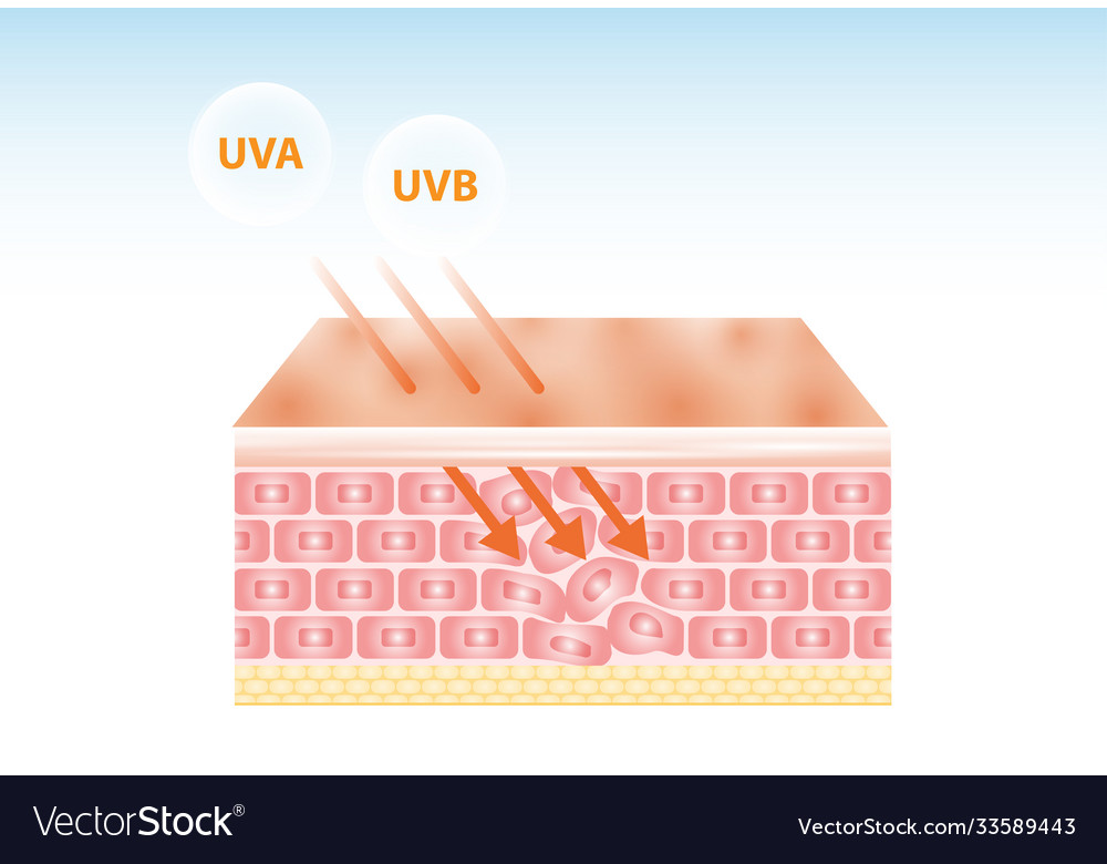 Uv Reflexionshaut nach Schutzdesign Vector Image Uv Reflexionshaut nach Schutzdesign