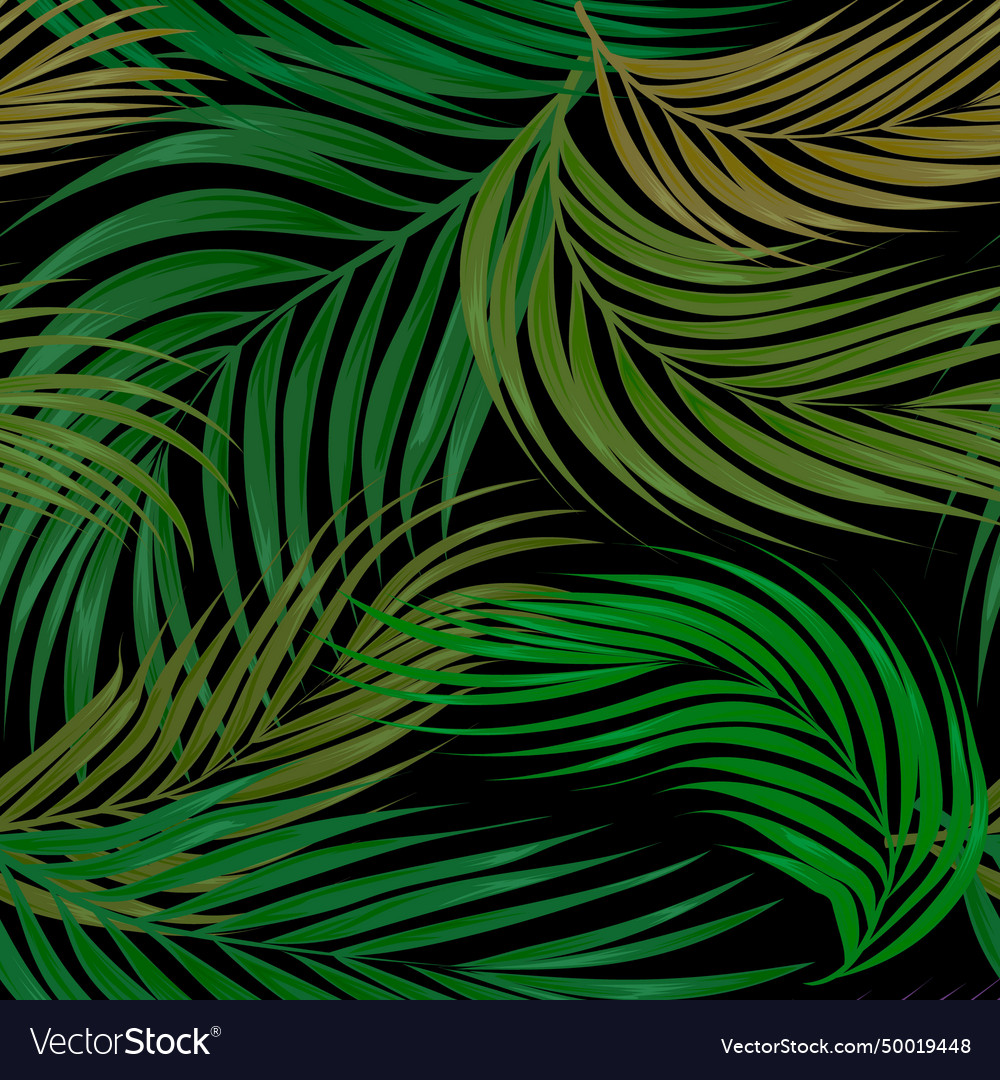 Green palm leaves tropical ornamental beautiful