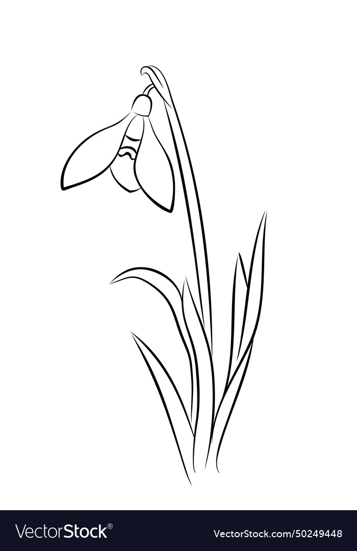 Sketch Of Flower Royalty Free Vector Image - Vectorstock