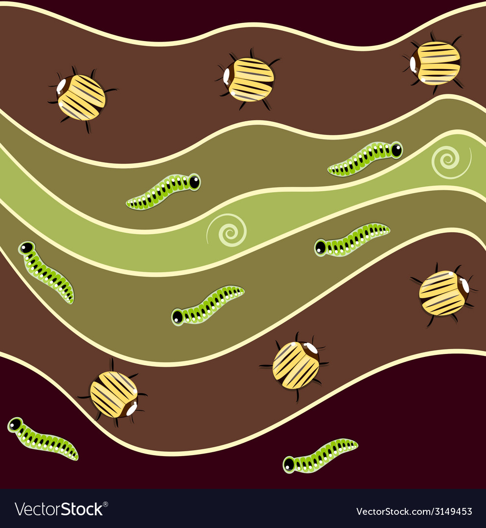 Bug pattern