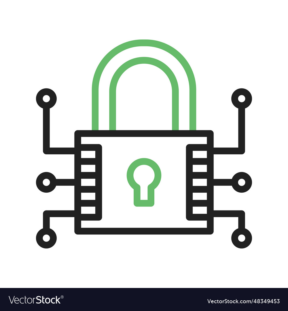 Data encryption icon image