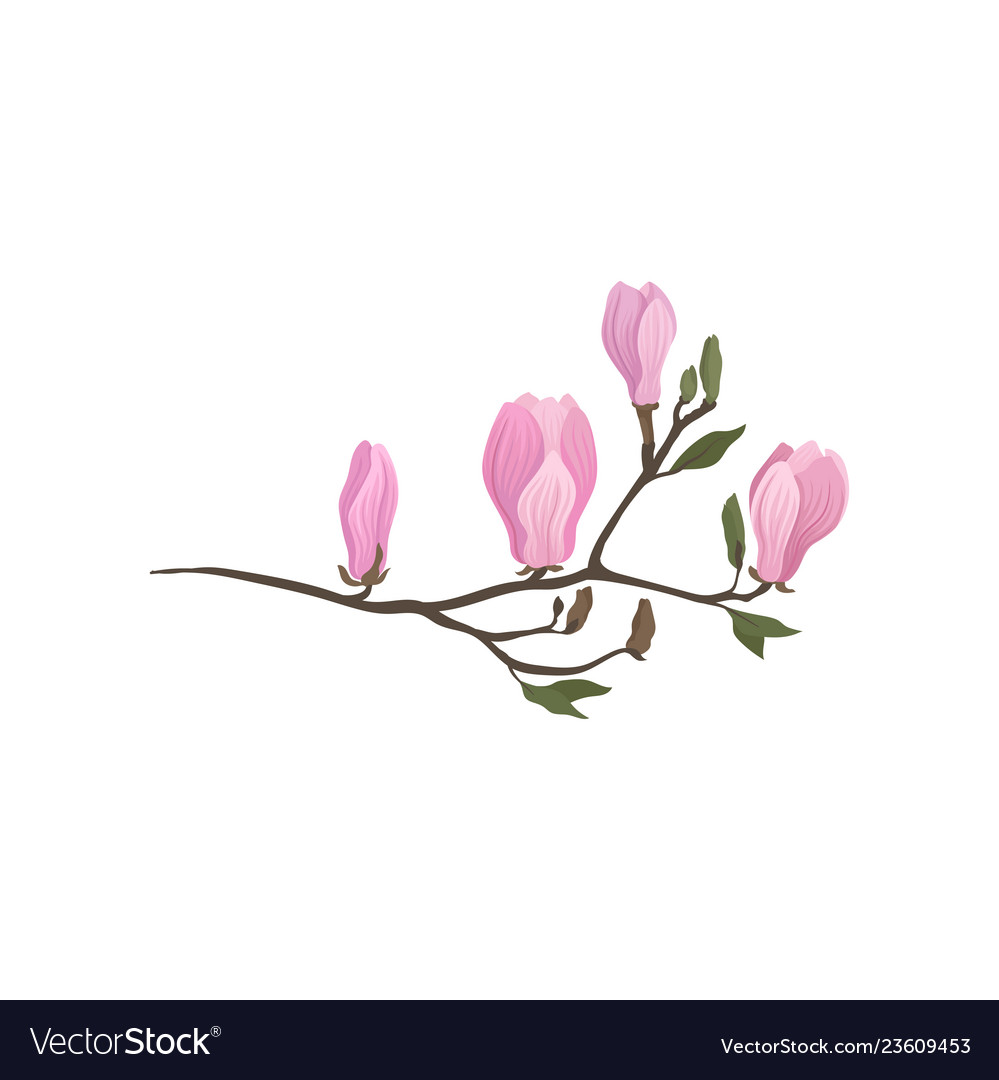 Detailed flat icon of flowering branch of Vector Image