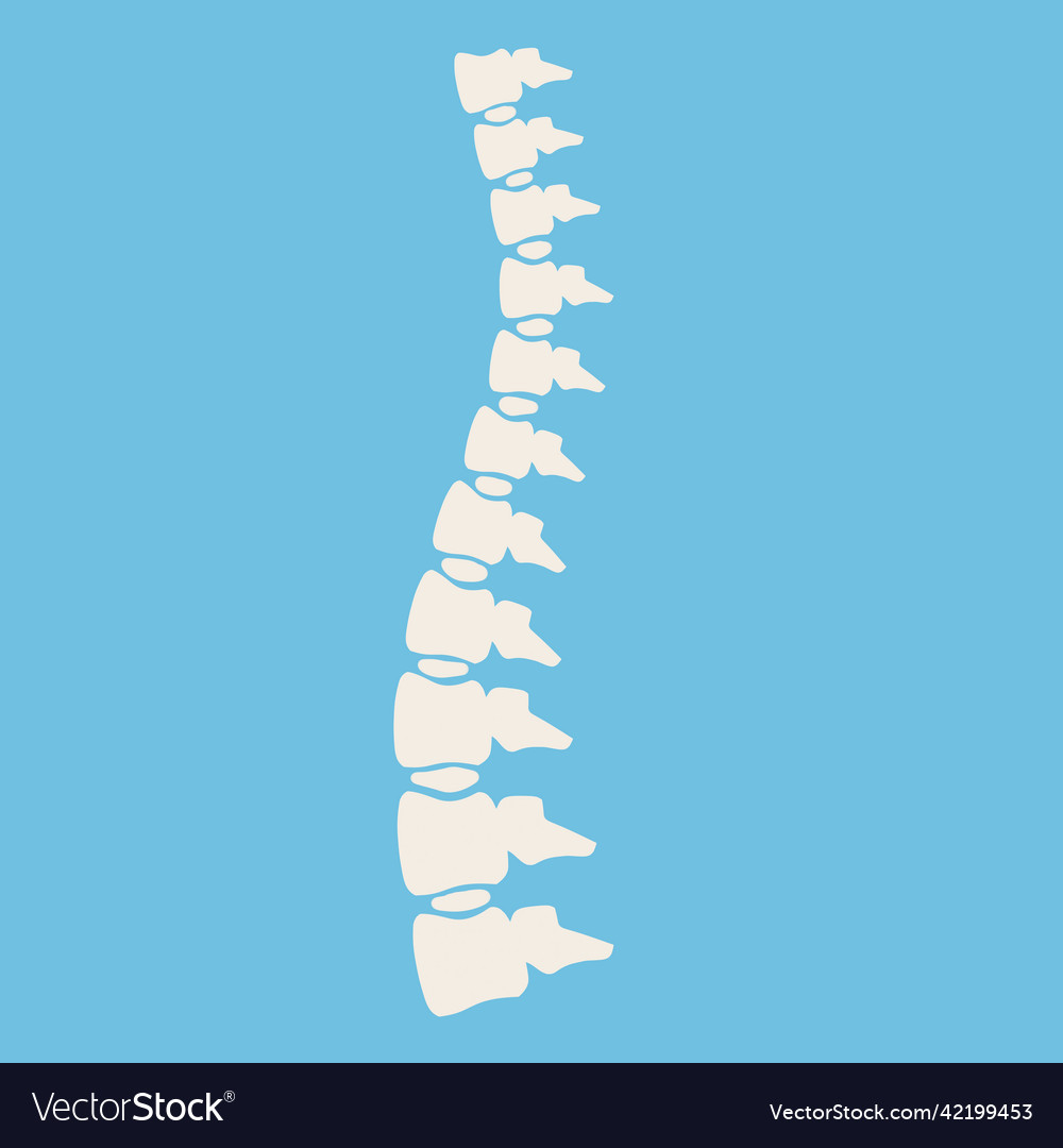 Problems with spine posture issues Vector Image Problems with spine posture issues