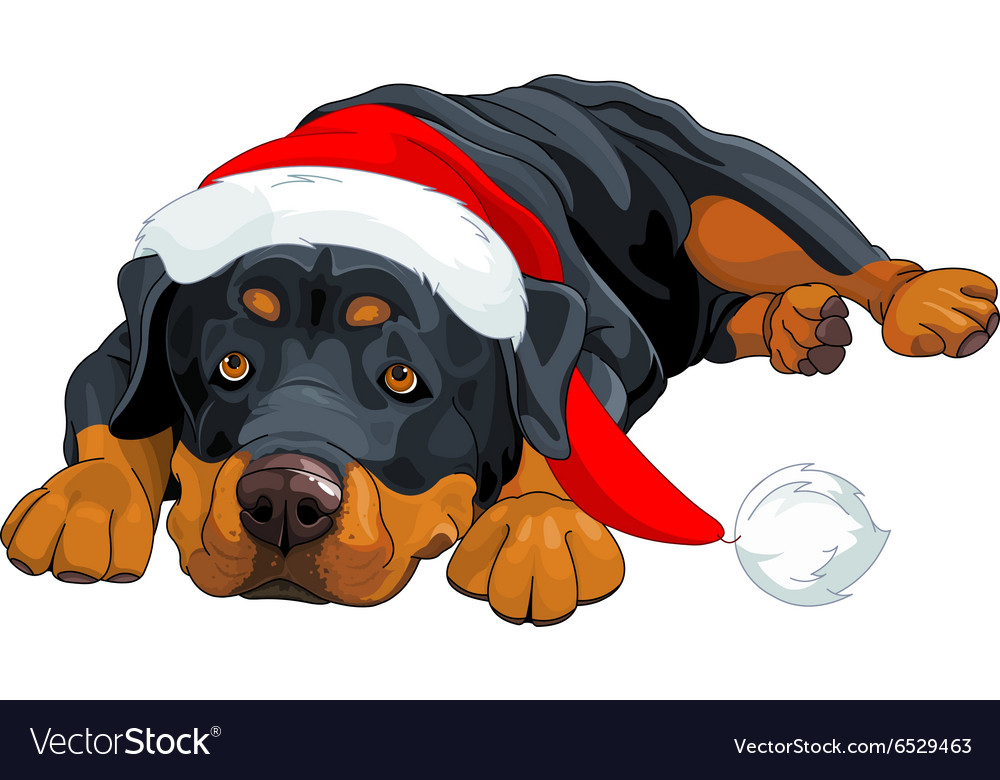 Rottweiler christmas hot sale