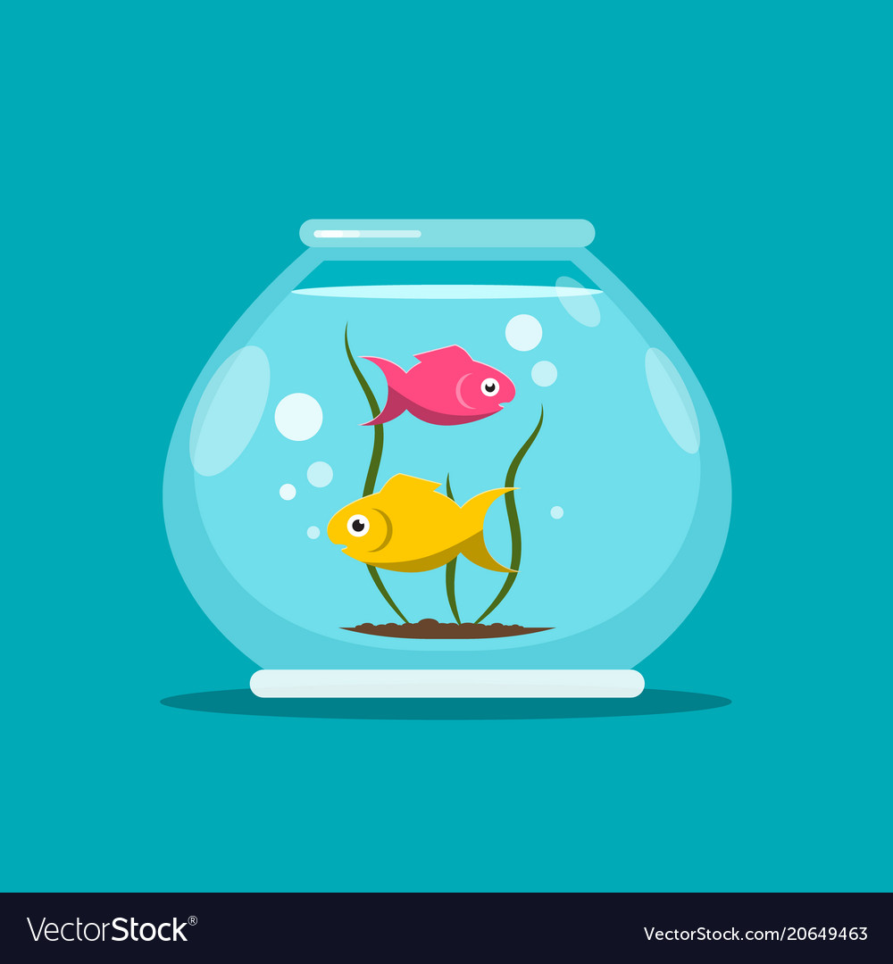 1,800+ Cartoon Fish Bowl Stock Photos, Pictures & Royalty-Free