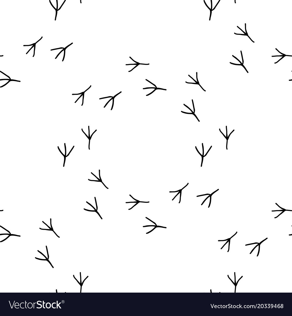 Bird Footprint Pattern