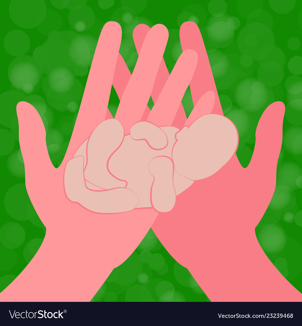 International midwives day hands ang newborn baby Vector Image