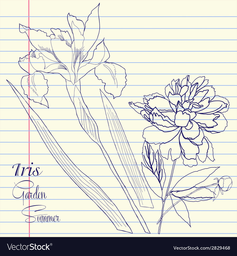 Notebook set with peony and one iris