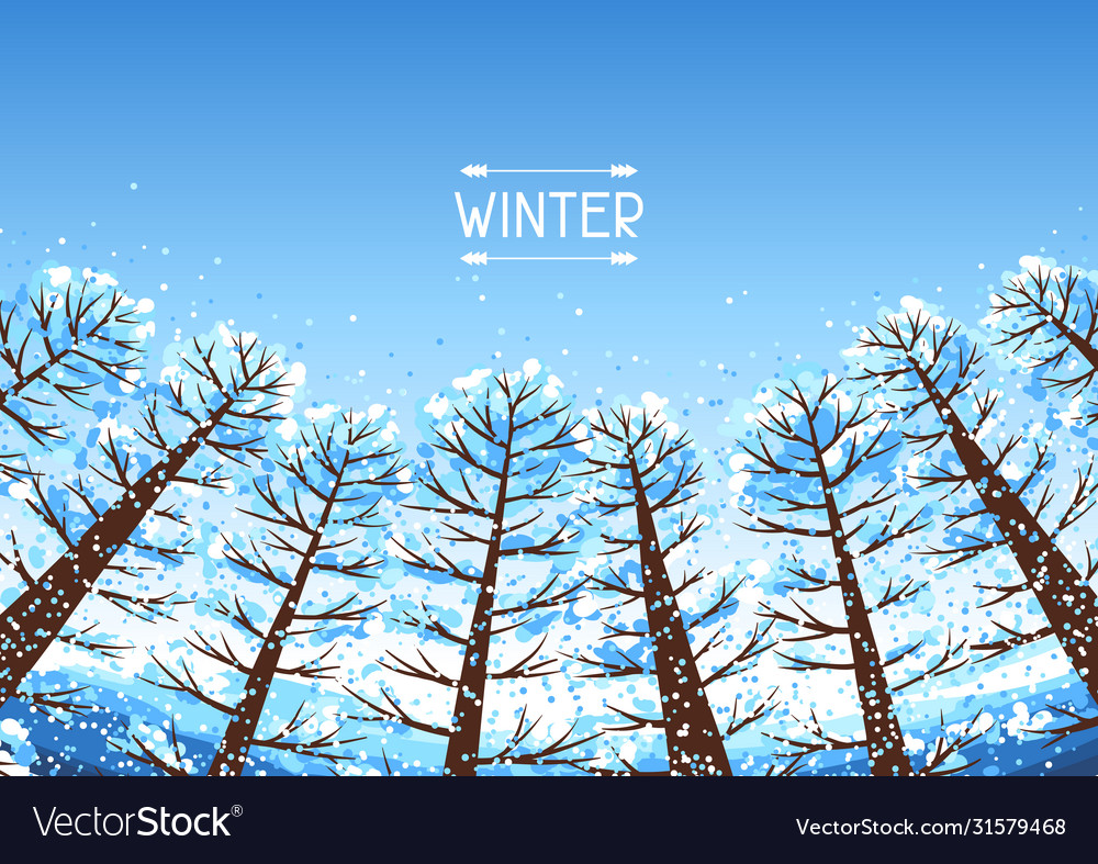 Winter forest background with stylized trees